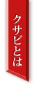 クサビとは